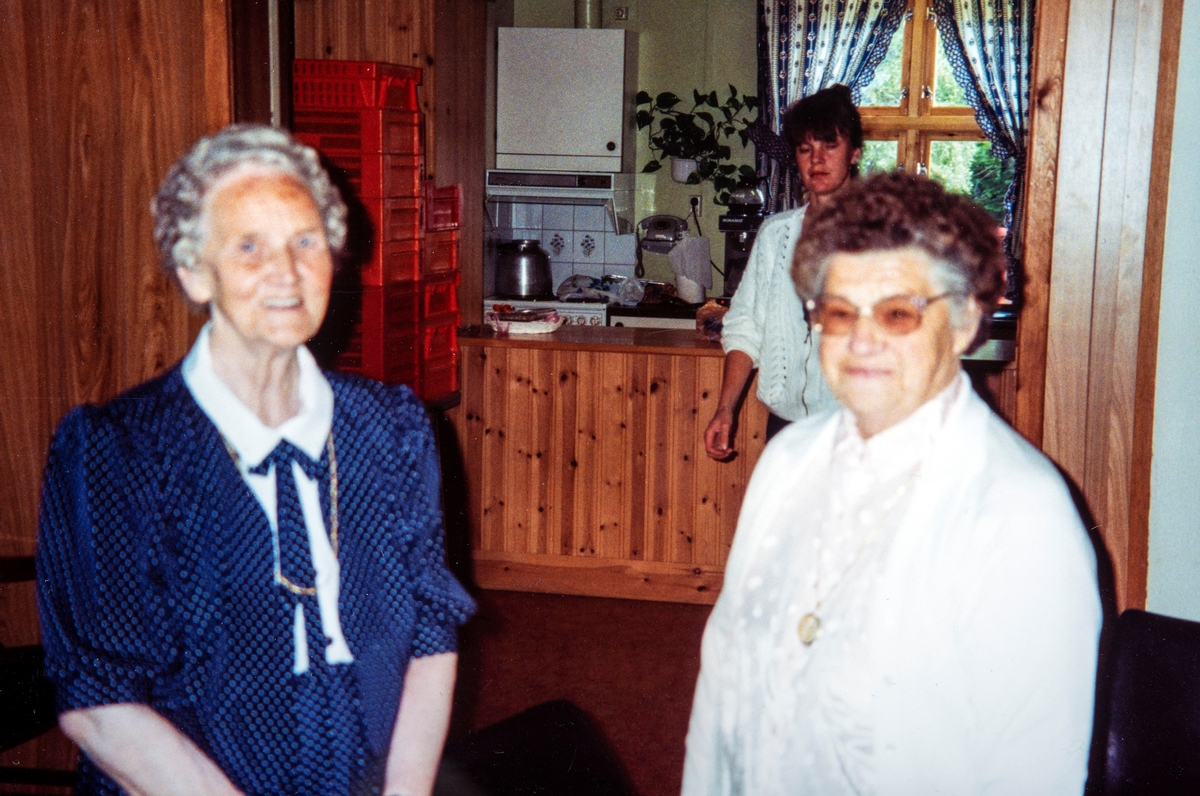 Magda Fredriksberg (t.v.) og Lavine Bjerklund (t.h.) begge oldemødre til konfirmant Linda Fredriksberg i Øvre Vang våren 1993. I bakgrunnen ser vi Tone Bjørnbakken som hjalp til på kjøkkenet under selskapet.