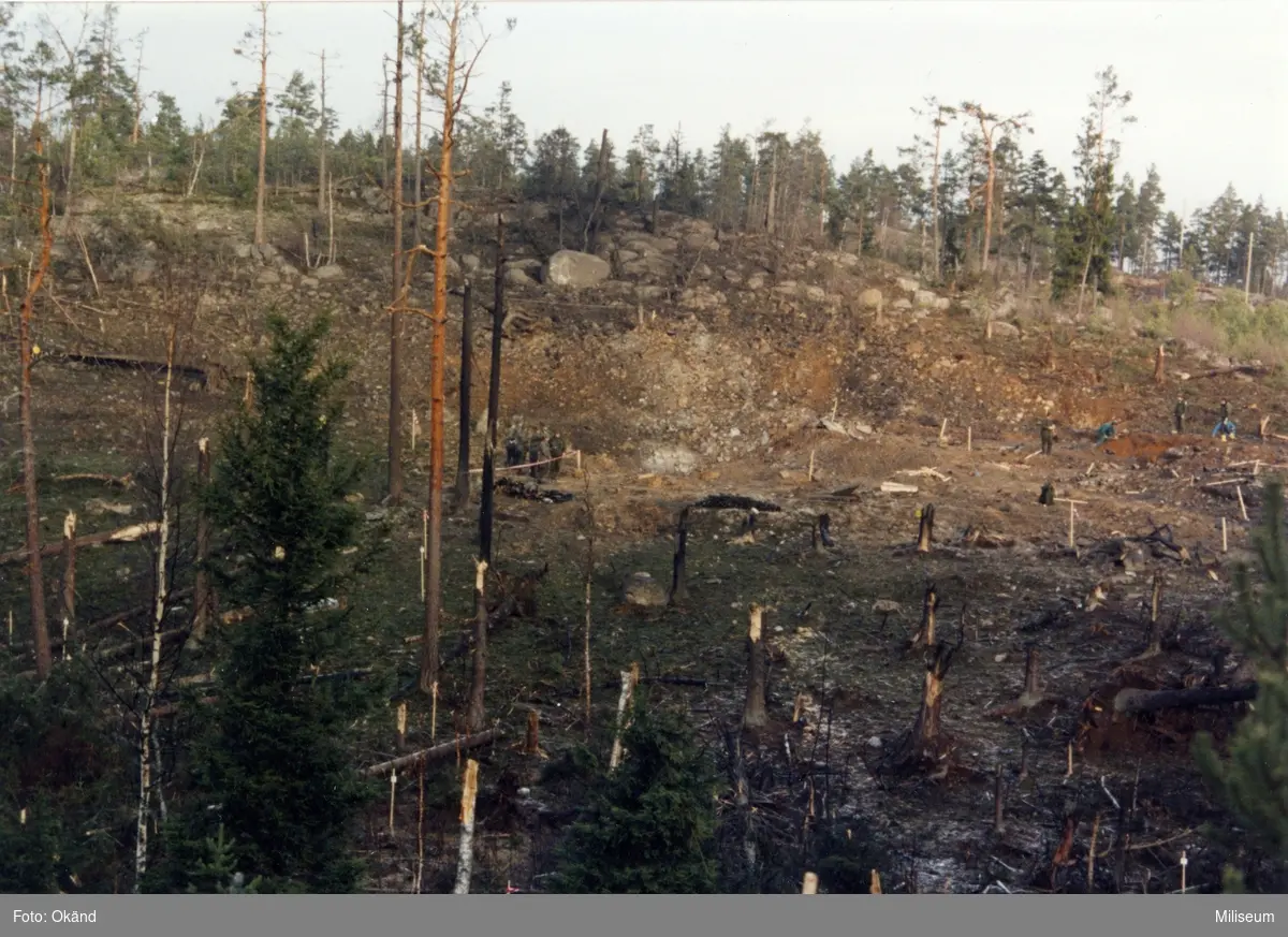 Vapenkuppen i Järna var en sprängning mot ett militärt mobiliseringsförråd i Järna utanför Södertälje 12 november 1986 av den så kallade Järnaligan. Flera hektar skog jämnades med marken.