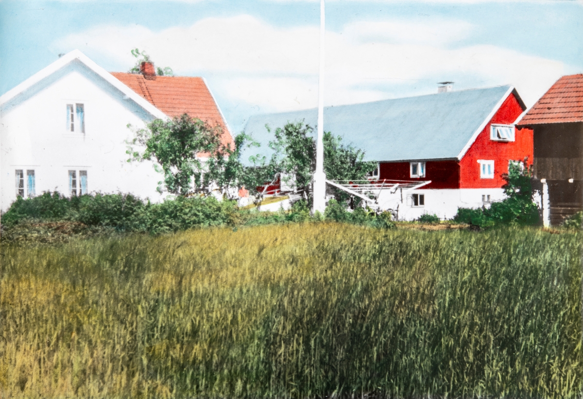 Håndkolorert bilde av gårdstunet på Gården Hafslund i Løten. Foto: Privat eie