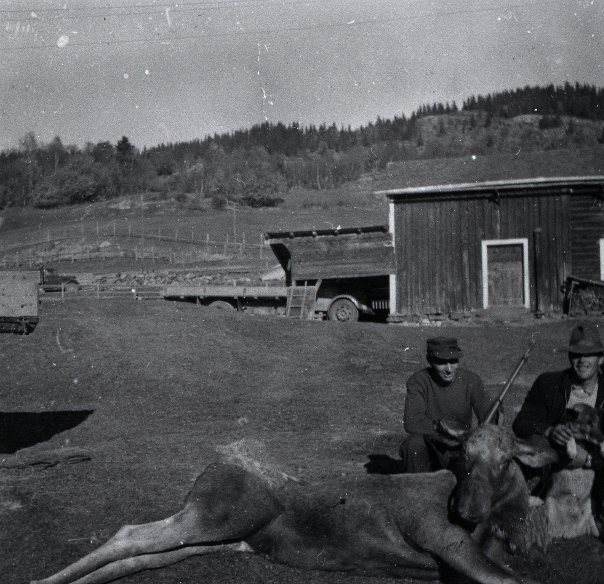 Den fyrste elgen som vart skoten i Vang. Skyttaren er Eivind Kvien, til venstre i bildet.