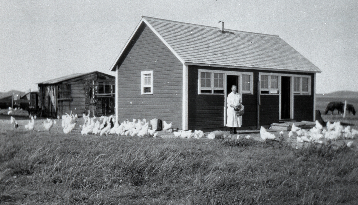 Ingebjørg N. Tørstad saman med hønene sine, utanfor huset sitt i USA