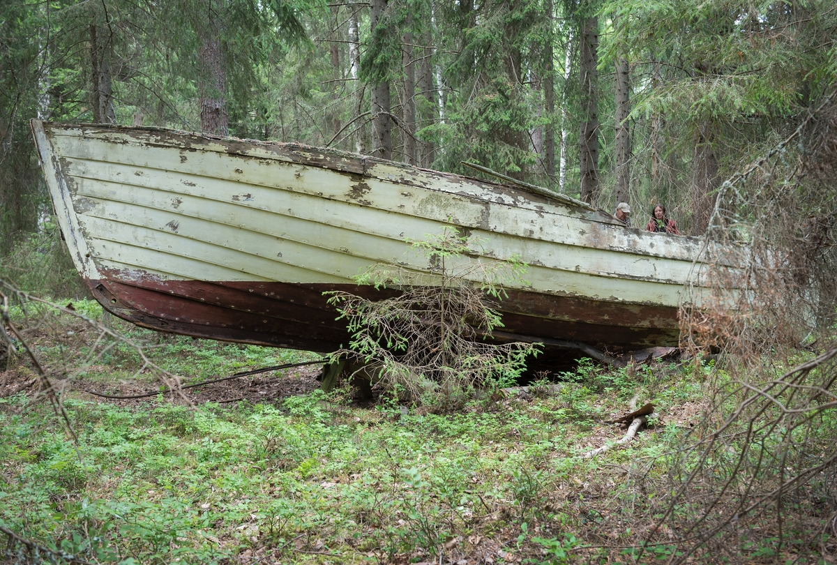 Förfallet vrak av baltisk flyktbåt i skogen på Järflotta. År 1943 användes båten av en grupp på fem för att fly från det Nargö och det ockuperade Estland till Sverige. 