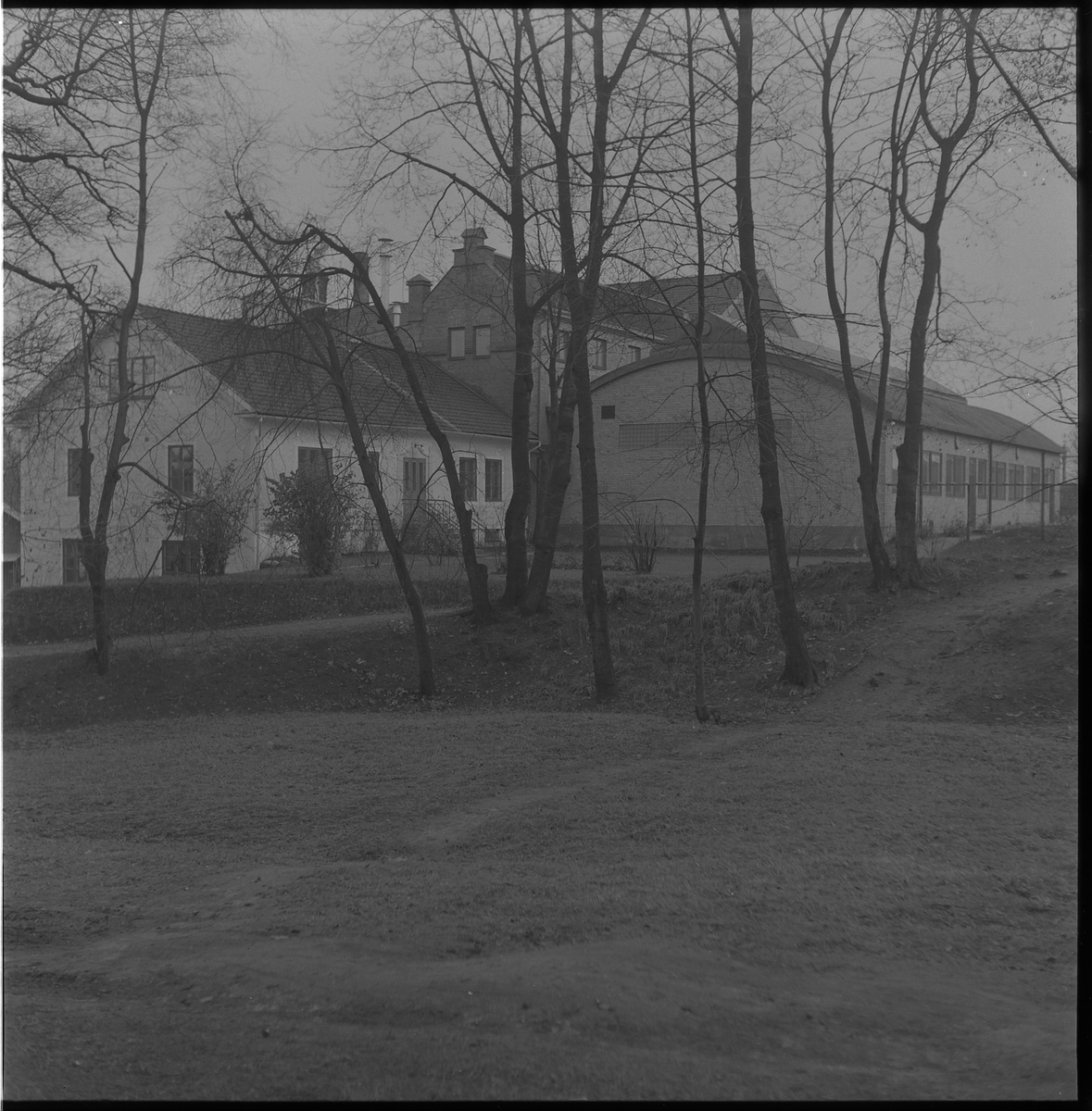 Bryggeriet sett från Åmans park. 1954