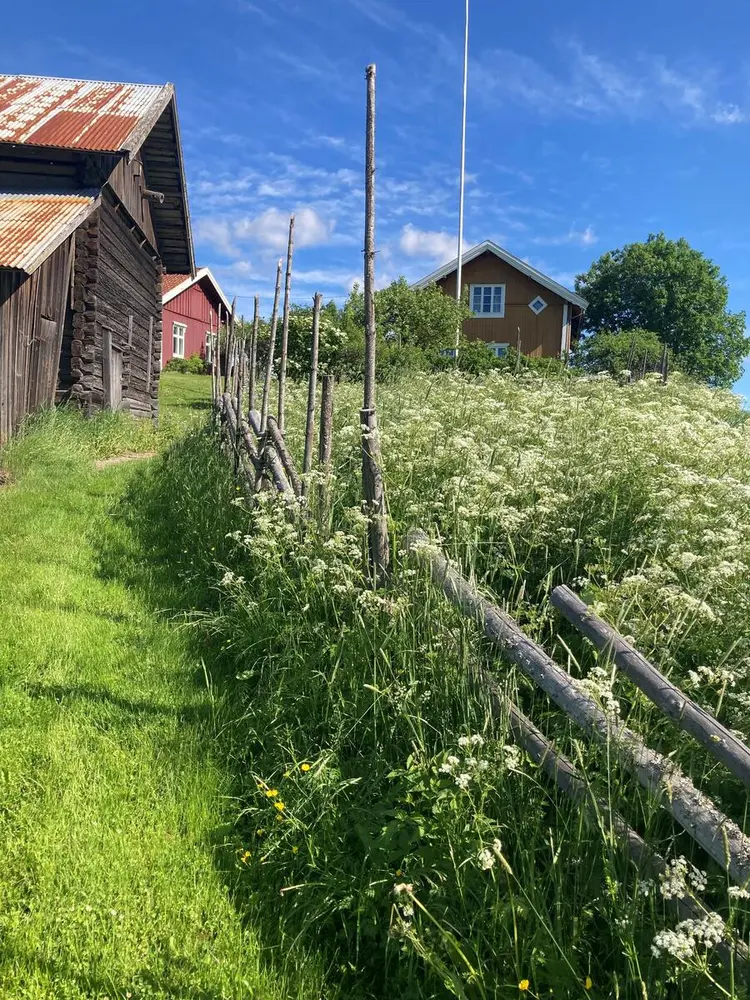 Bygdetunet Almenninga sett fra vegen ned til åa. Låve til venstre. Skigard midt i bildet. Det røde våningshuset Vestun og det gule våningshuset Austun i bakgrunn.