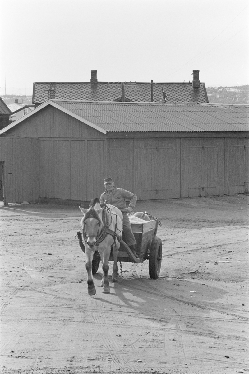 En mann kjører hest og vogn på Røros.