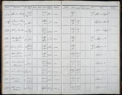 Oppslag, epidemiprotokoll fra Rikshospitalet, 1852-53.
