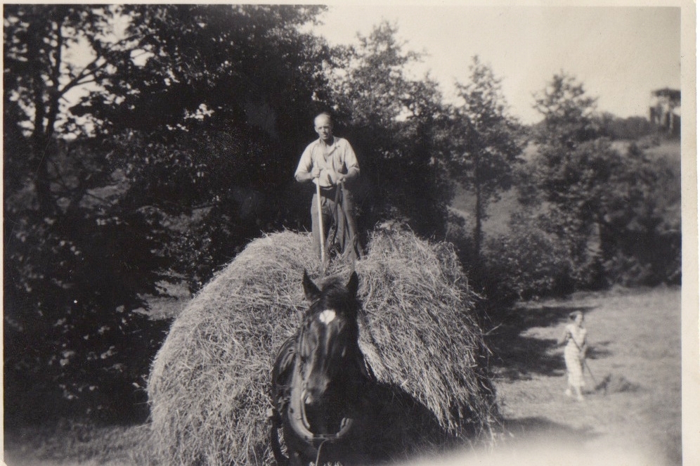 Höbärgning med hjälp av häst, Labacka 1:2 "Lund" okänt årtal. Axel Johansson (1895-1974) står på hölasset. Okänd kvinna till höger.