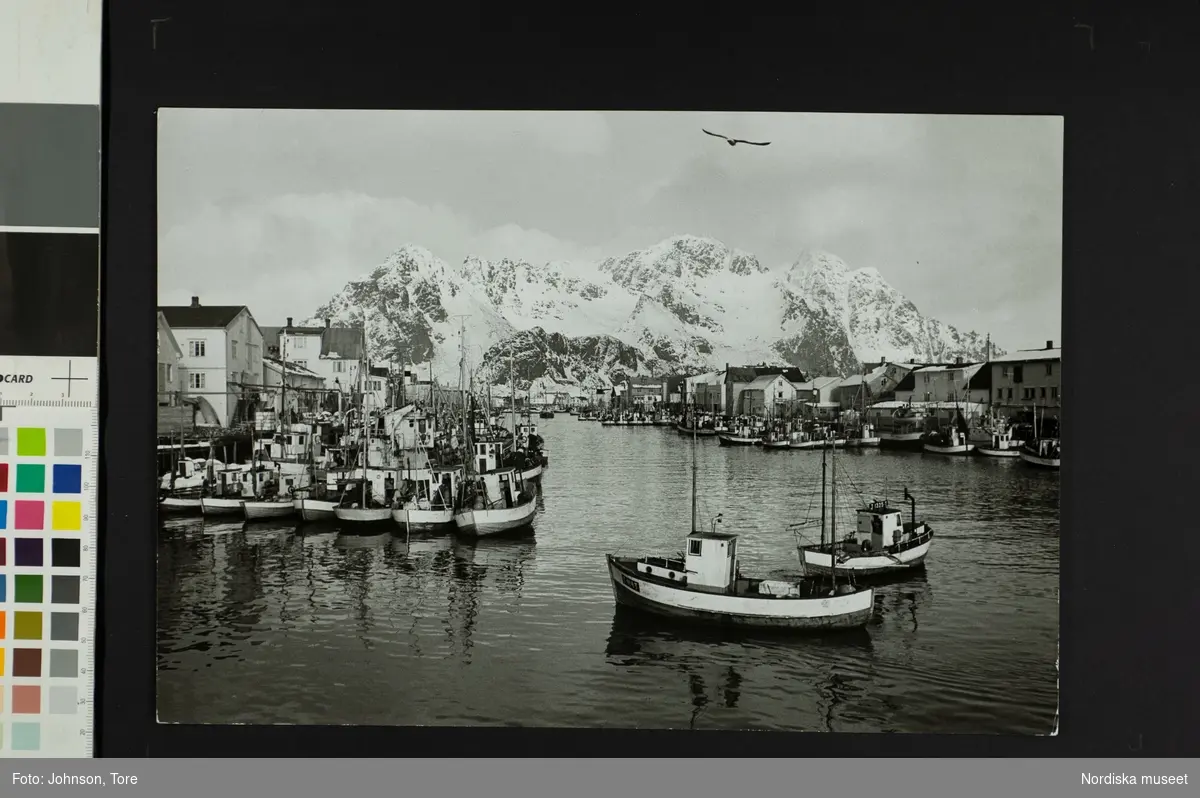 Fiskebåtar i hamn, hus och berg i bakgrunden. Lofoten, Norge.