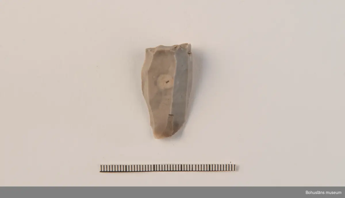 Fragment av cylindrisk spånkärna.

294 Landskap BOHUSLÄN