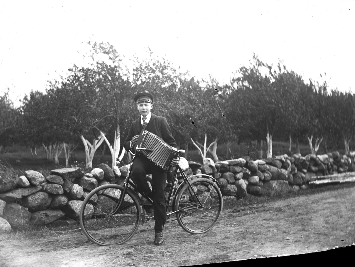 Sällstorp 6. Ynglingen Nils från Jannes med cykel och ett enradigt durspel (dragspel) framför Ahlbergs trädgård, 1915 eller strax före. Fruktträdens stammar är vitkalkade för att inte bli så varma på senvintern, och därmed få barkskador. Kalk hjälper också till att skydda mot äggläggande skadedjur i barken.