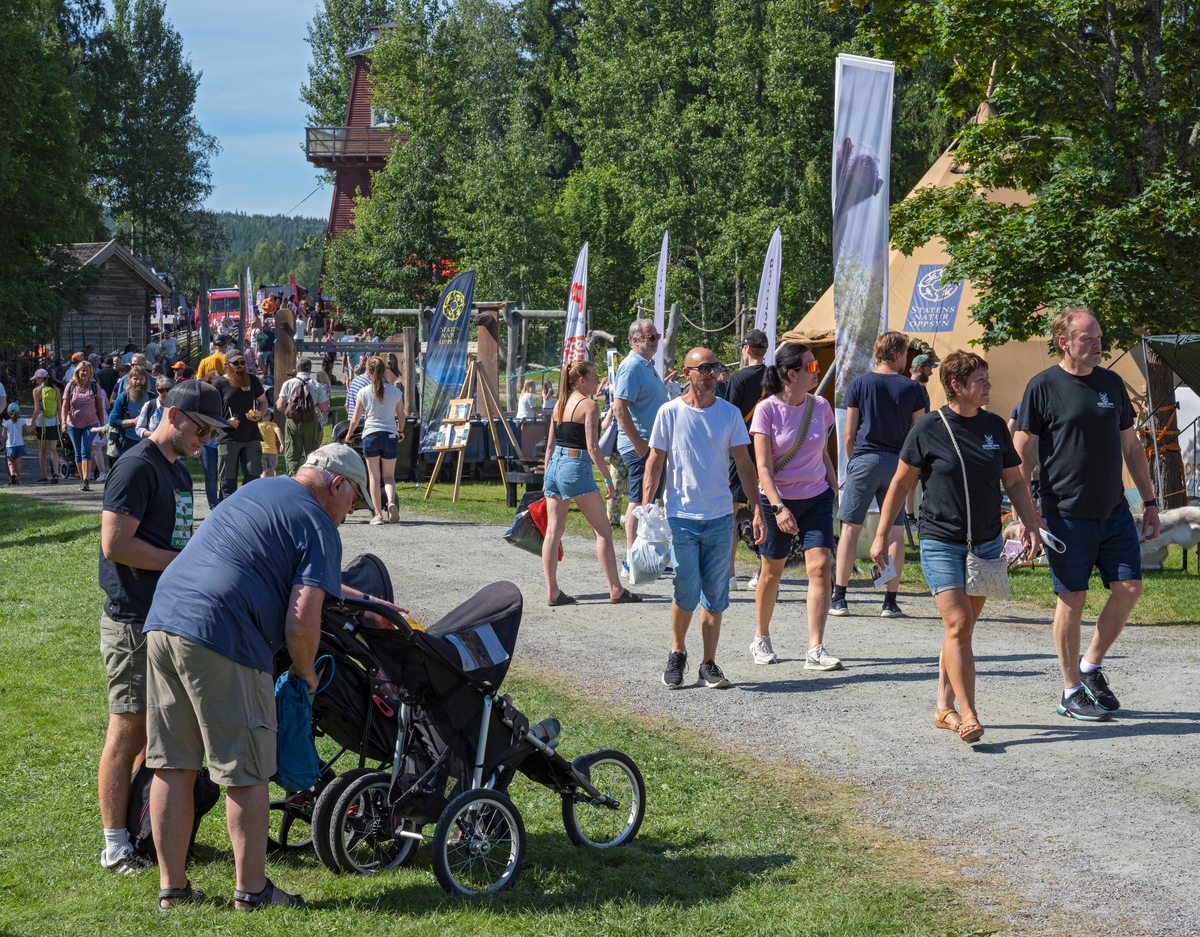 Besøkende under De Nordiske Jakt- og Fiskedager 2022 på Anno Norsk Skogmuseum i Elverum, Innlandet.Bildet er tatt rett sør for museumsbygningen, langs gangvegen i retning Brannvakttårnet. Lavvoen i bakgrunnen var basen til Statens naturoppsyn under arrangementet.