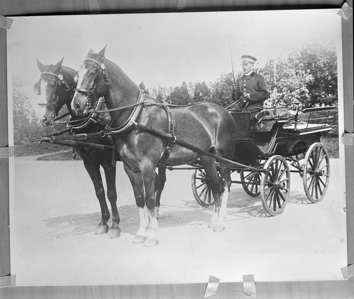 Reprofotografi av foto på kusk och häst med vagn. - Alingsås museum