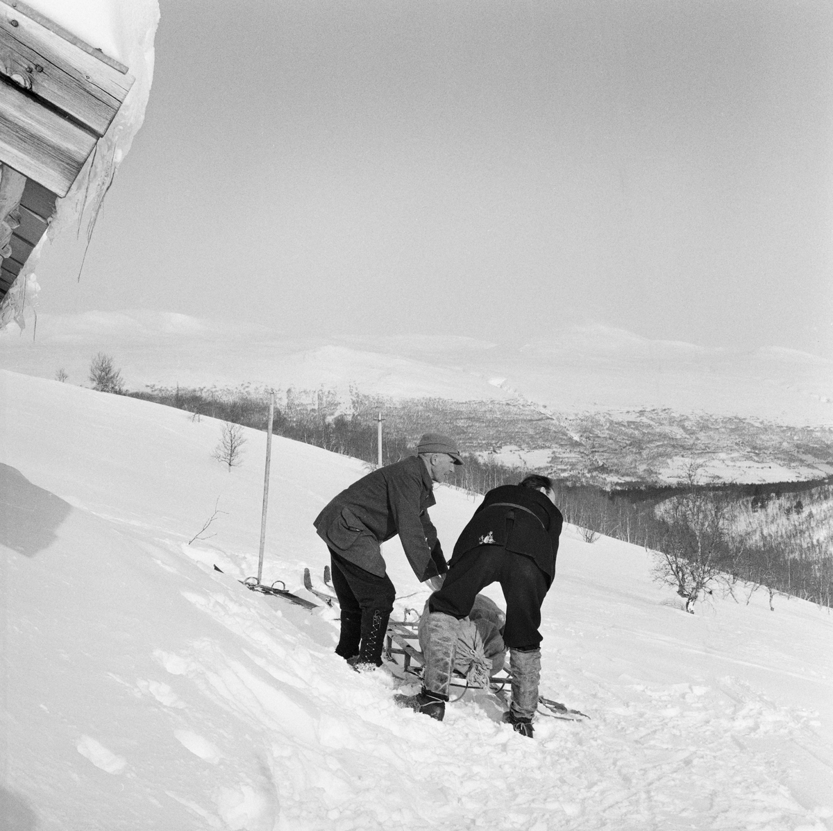 Snarefangst etter rype, Lesja i mars 1968. Transport av ryper med skikjelke. T.v. Ola Bergene fra Bjorli, t.h. Edvard Dorseth, Lesjaverk.