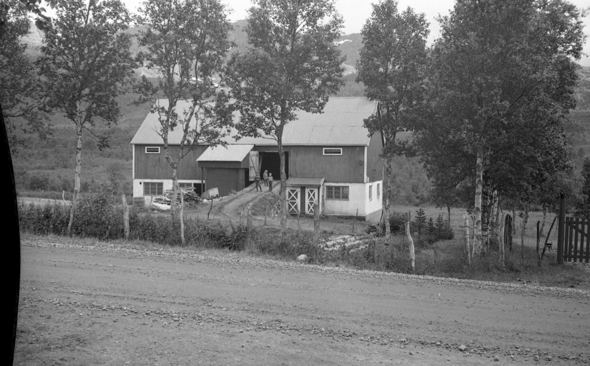 Lakså, Holmstaddalen i Sortland 1971