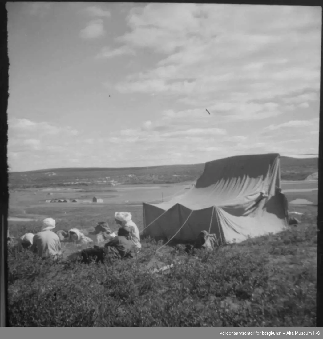 3 mennesker med telt, ryggsekker og myggnetting på vidda.
