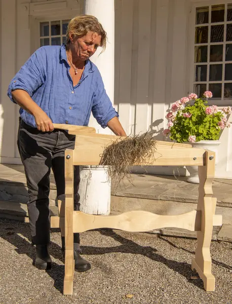 Kvinne med blå skjorte fører linstråene gjennom et redskap som mykner fibrene.