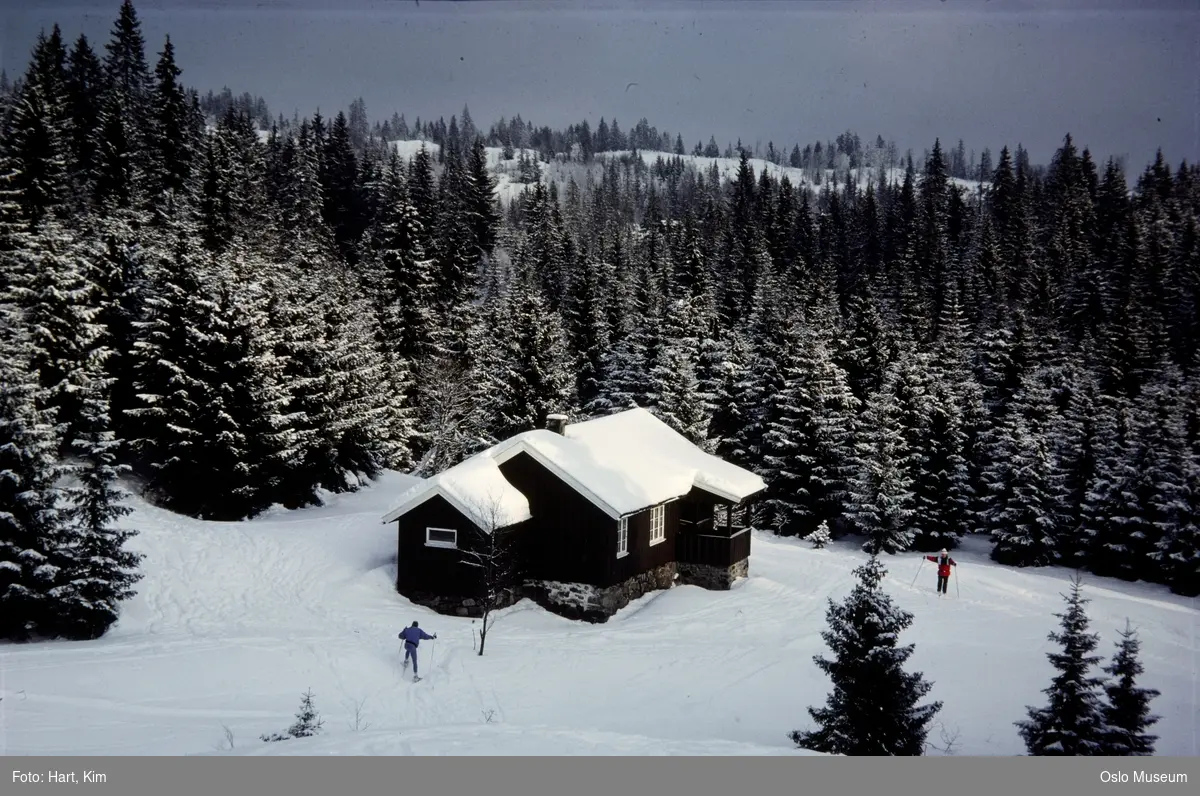 husmannsplass, seter, kulturlandskap, skog, snø, mennesker, skiløpere