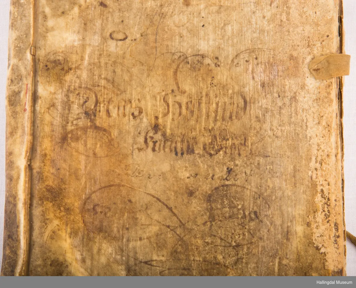 Boken er skrevet med blekk. Tittelblad: NES HOFUID KIERCHIS AARLIG VISSE INDKOMST.
Fra 1675 til 1725. Skinninnbinding. På hver av permenes forkant 2 skinnbånd til knytting. 1 bånd mangler på hver perm.  Boka har vært i  Nes gamle stavkirke.
