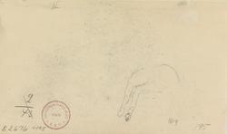 Dyrestudie [Tegning]