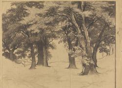 Fra Rydal Park [Tegning]