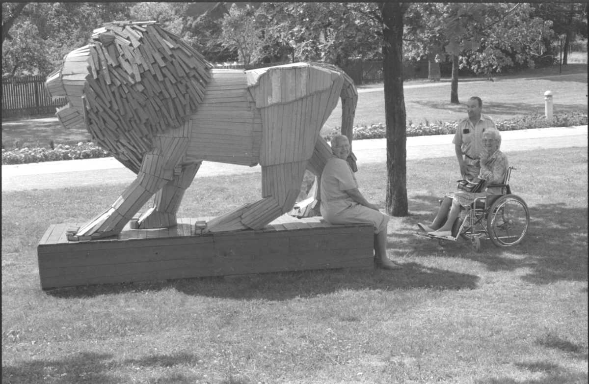 Slöjdat lejon i museiparken i Linköping år 1993. Linköpingslejonet. Lejon. Sommar. park. Linköping. Skulptur. Träslöjd.
