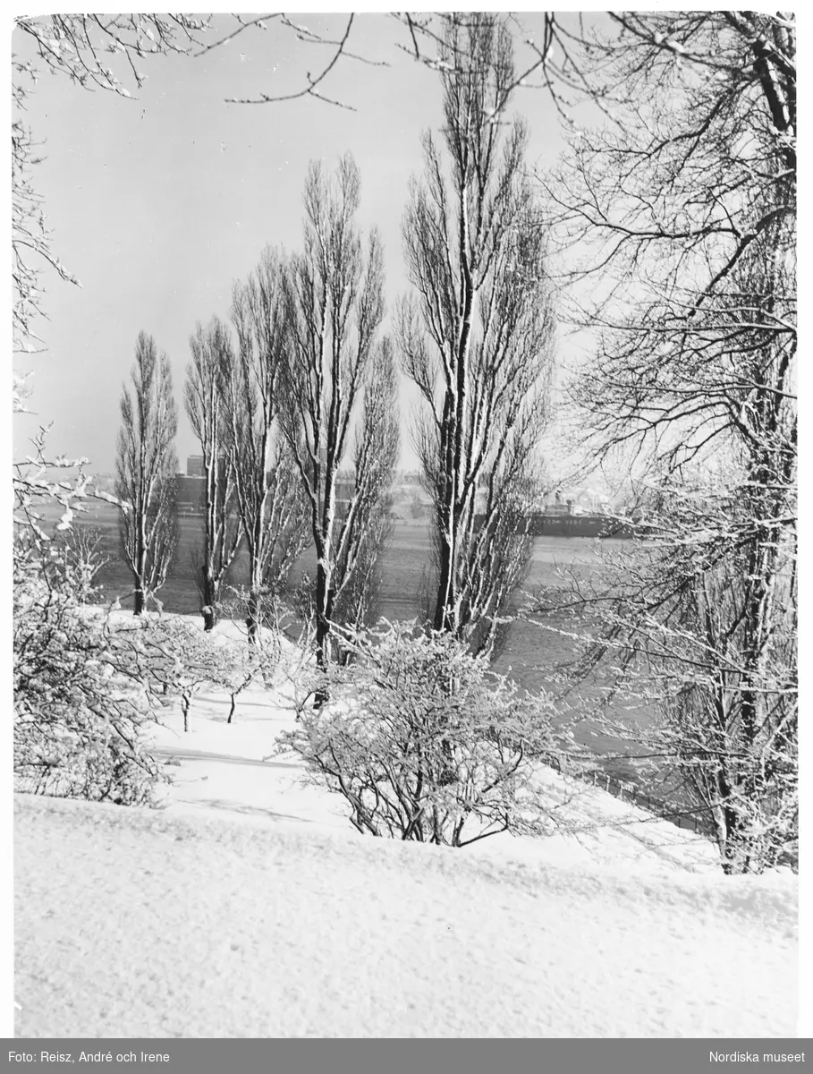 Vinterbild, snön ligger djup på marken, trädens grenar är snötyngda. I bakgrunden vatten med ett passerande fartyg.