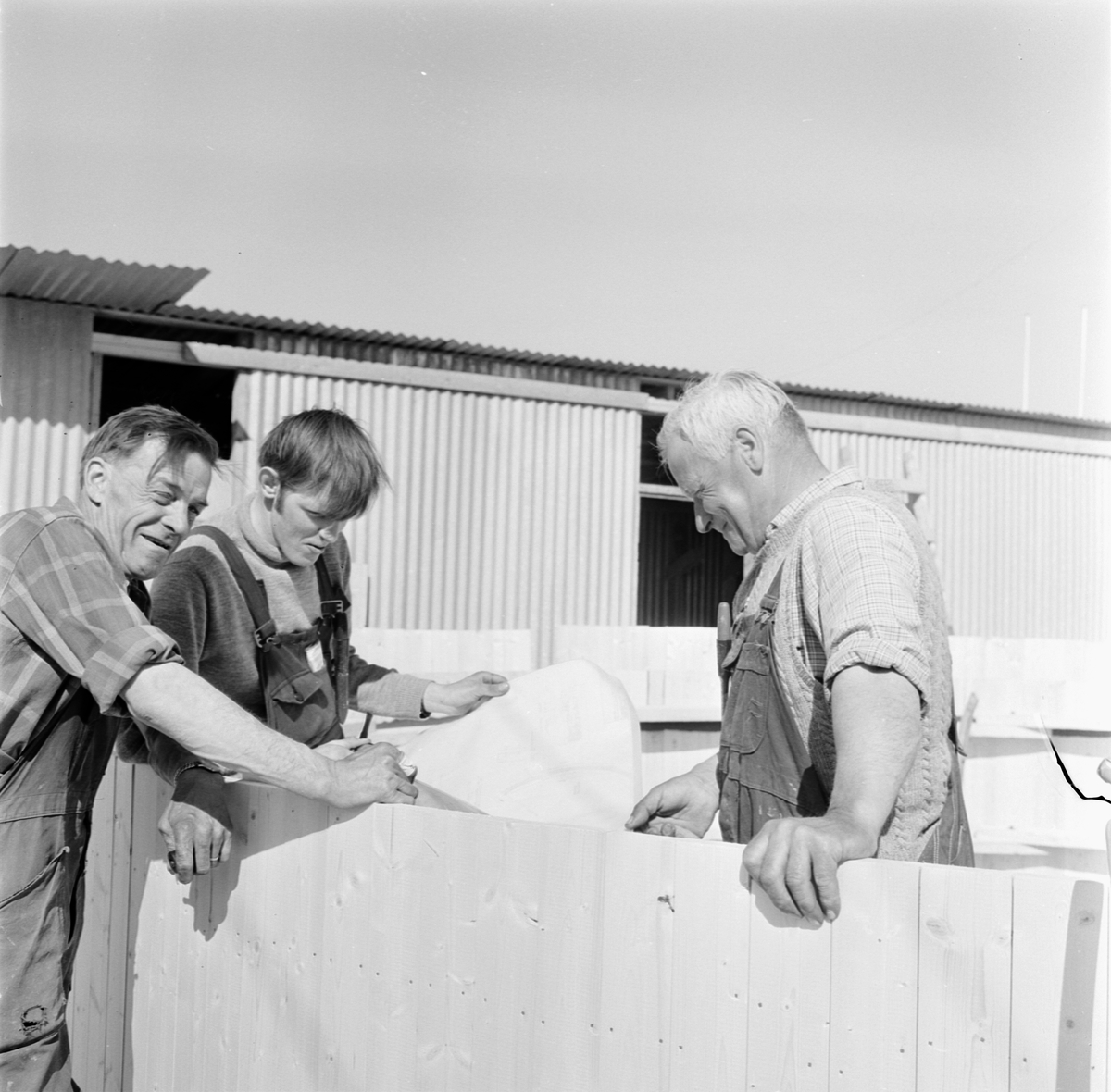 Snickare vid siloanläggning, Uppland 1969