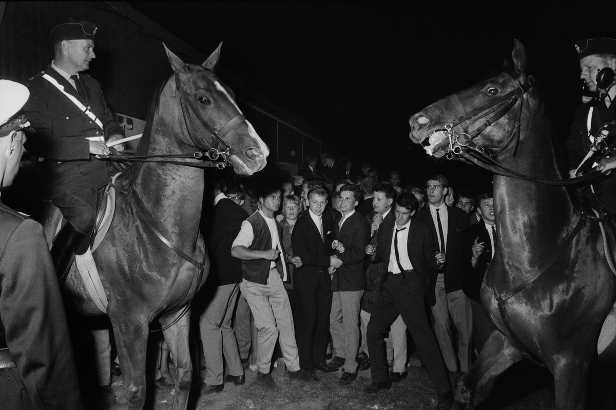 "Nu i natt" kravaller med ridande polis i Folkets park, 1964.