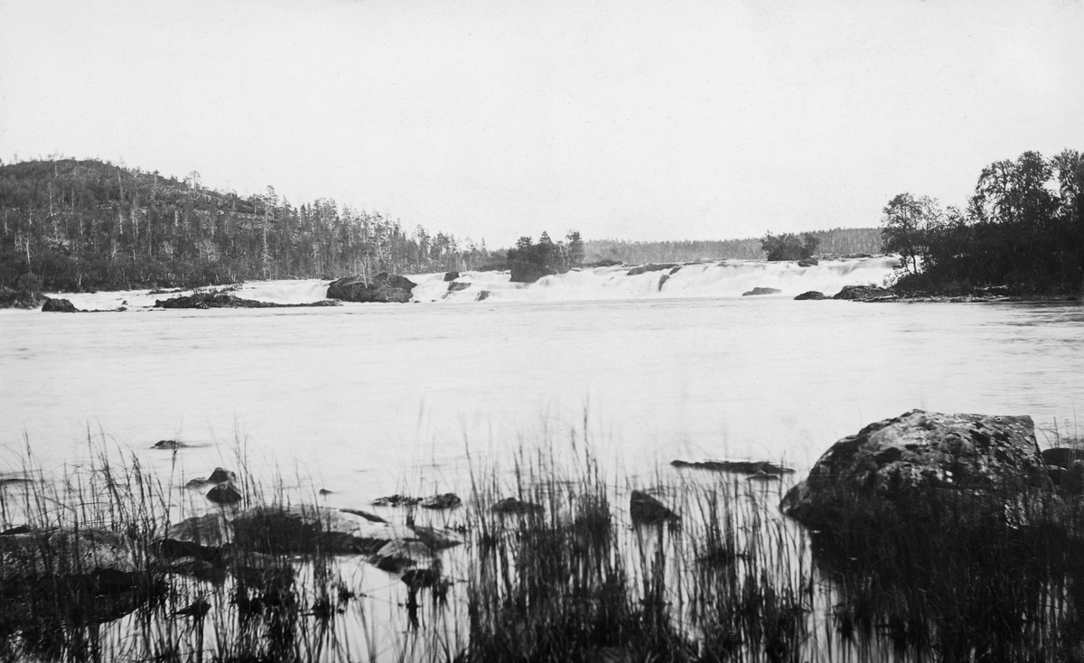 Skogfossen (Mennikø) i Sør-Varanger.  Bildet er tatt fra en elvebredd med stein og sivvekster på nedsida av den brede fossen.  Til venstre for fossen en bergkolle med furuskog, til høyre en tange med lauvtrær. 
