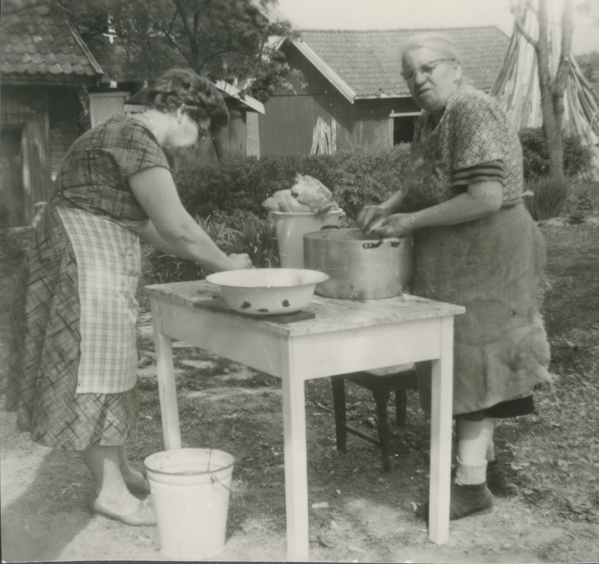 Lillian og Elisabeth Rud i arbeid med å plukker høner.