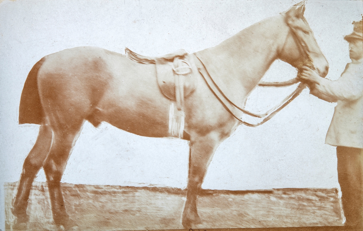 Hest og ukjent mann, bilde er sendt til Guldbrand Gjestvang på Hverven Gård i Ottestad. Signert Edvard Munch. Se bilde 2 og 3.