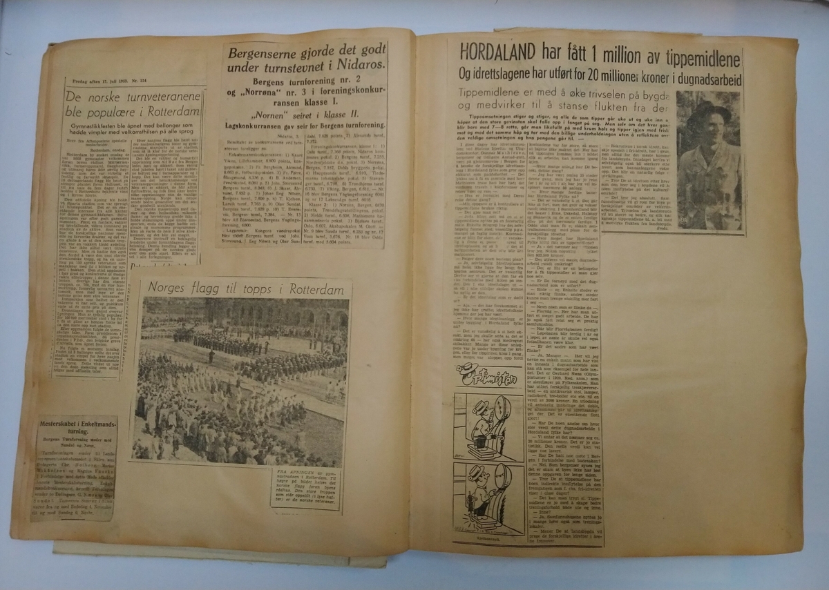 Privat arkiv, samling av avisklypp av ulike idrettsarrangement, song og musikkstemner. Ness var med i landslaget i turn kring 1920-talet. Permen inneheld og diverse attestar.