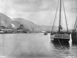 Prot: Bergen - Fra Havnen fra Fyren 25. Juli 1902