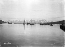 Prot: Tromsø Havneparti