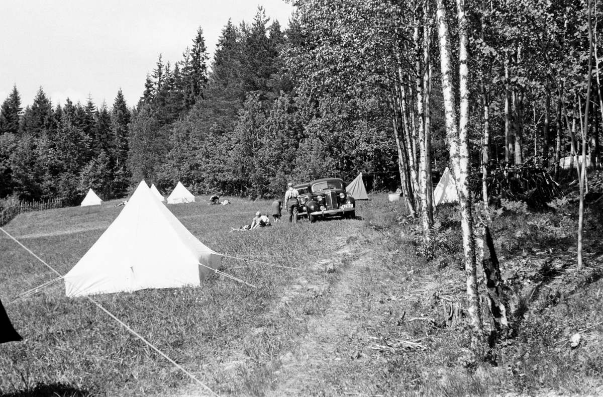 Friluftsliv og campingplass i førkrigsstil.  Telting på gressbakken langs en skogsbilvei.