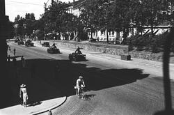 Prot: Panservogner på Drammensveien