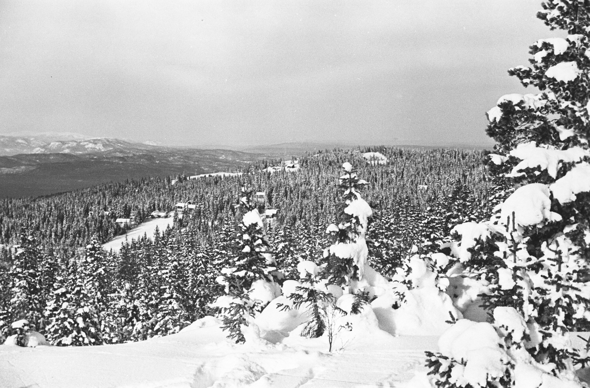 Vinterlandskap. Utsikt fra RIngkollen, Ringerike. Fotografert 1941.