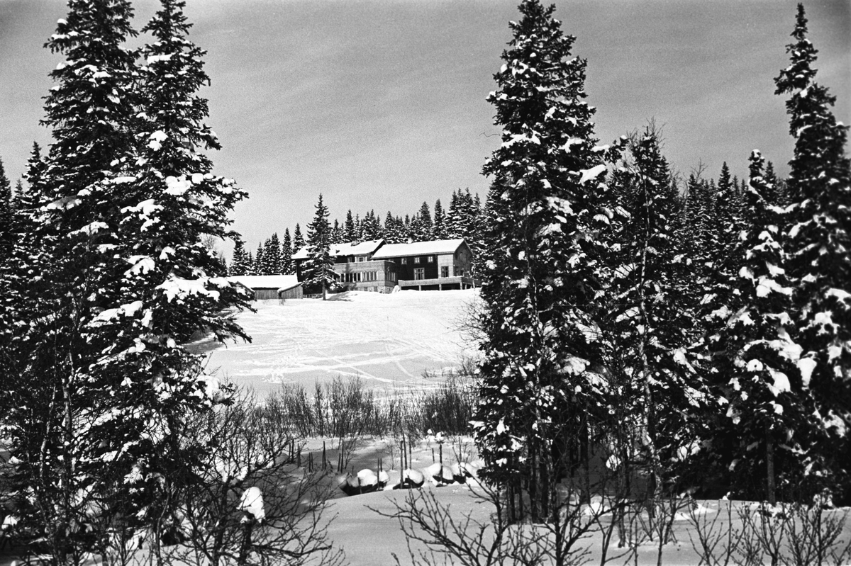 Ringkollen hotell vinterstid. RIngkollen, Ringerike. Fotografert 1941.