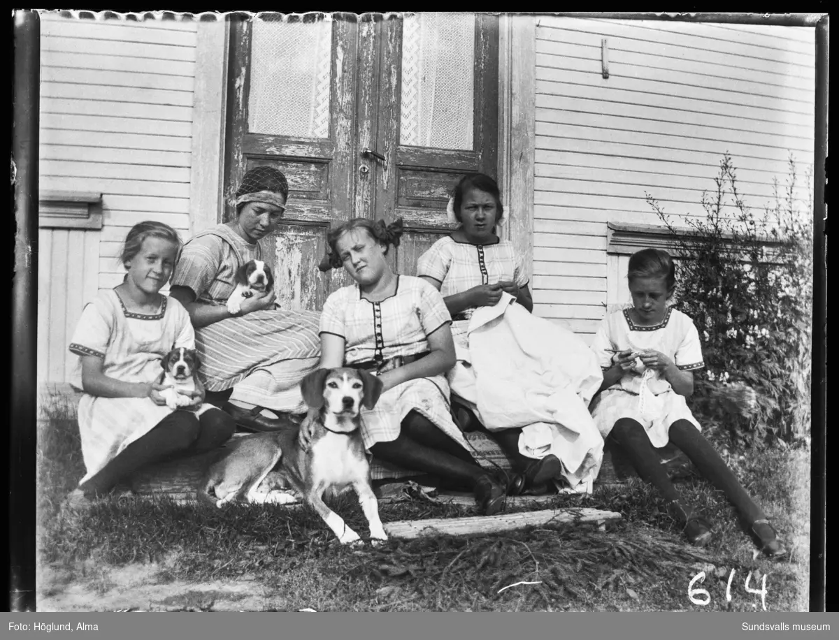Fem flickor sitter på trappen till ett hus. Flickorna i rutiga klänningar är oidentifierade, övriga är systrarna Hilma, Irma och Ingrid Höglund. Två av dem håller varsin hundvalp i famnen och framför dem ligger tiken.
