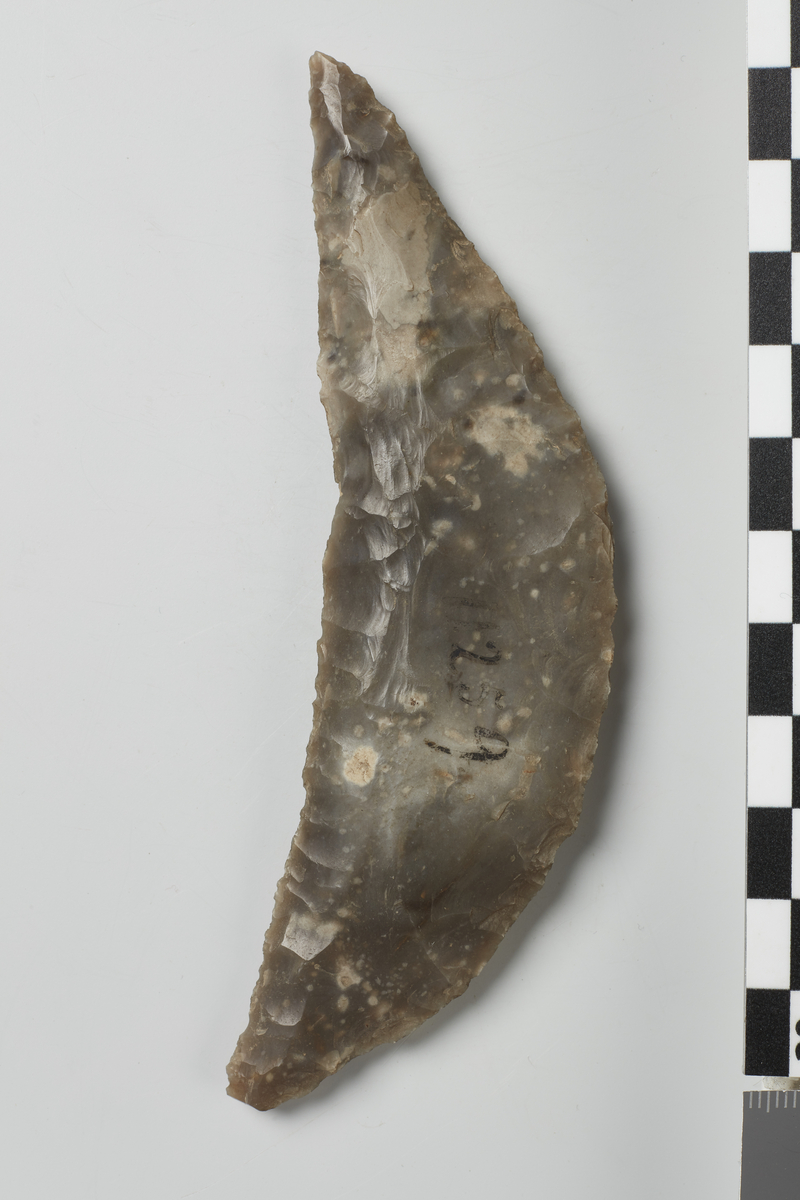 Halvmaaneformet Skraber af Flint med indbuet Eg, 12 cm. lang og indtil 3,3 cm. bred