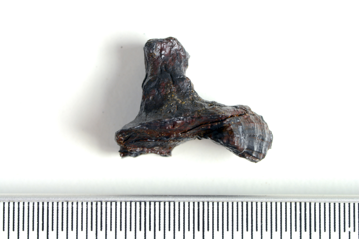 Ett fragment av jern funnet i lag 2 i S10214, en avfallsgrop i det som har blitt tolket som et smieområde. Kan være en nagle ut i fra form på røntgen. Antydning til et hodet, og en liten del av en bevart stilk.  Funnet er konservert.