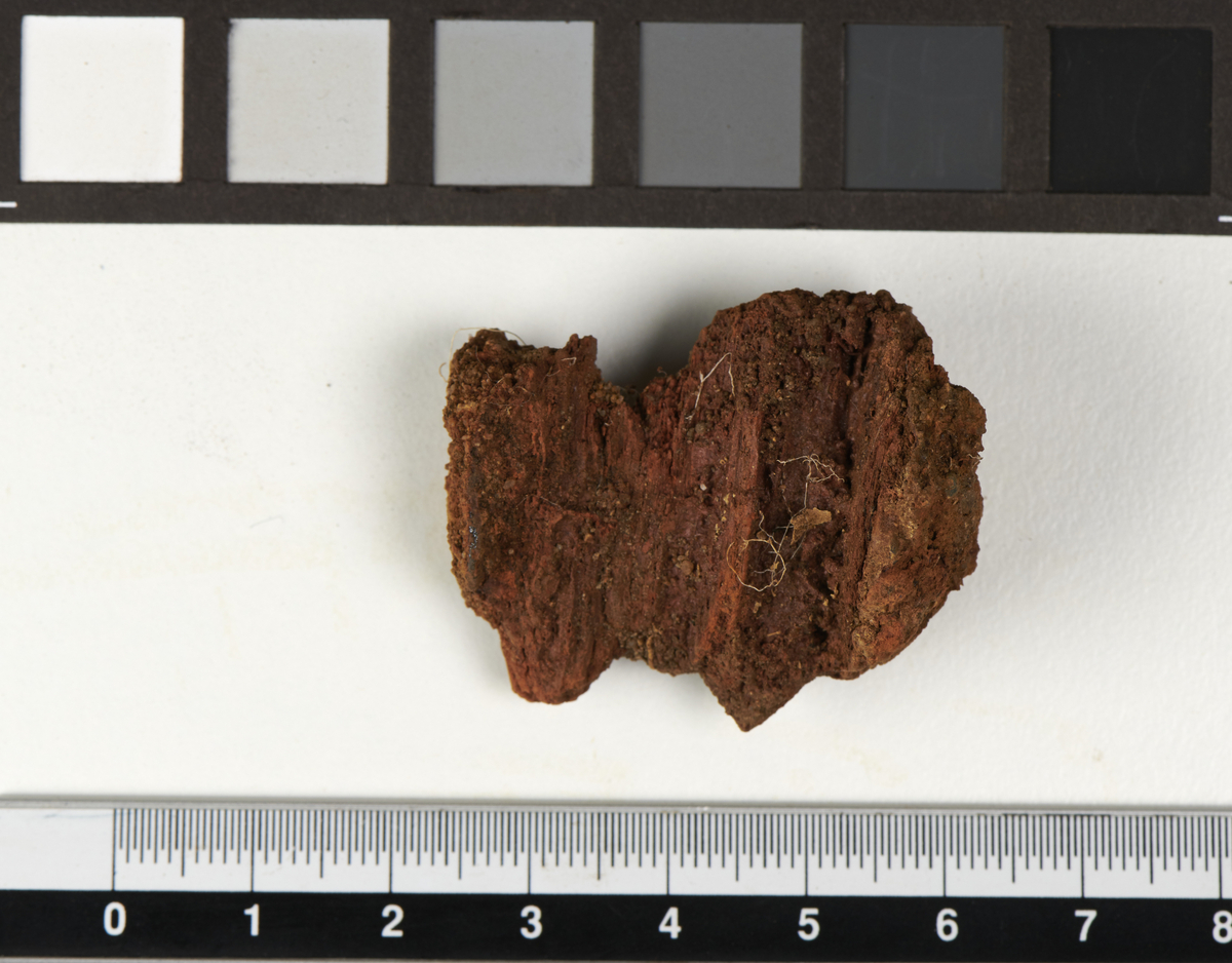 Saum av jern. Saumen har firkantet hode og delvis bevart mineralisert tre.  Mål: B. hode: 2 x 2 cm; L: 3,5 cm; T. stilk: 0,5 cm.  