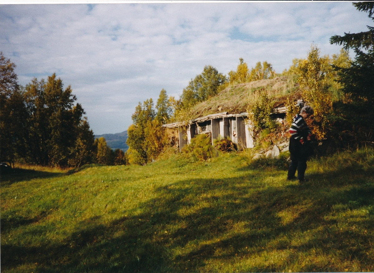 Kvæfjord, Troms 1998