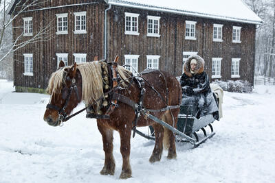 Hest og slede står foran historisk bygning.. Foto/Photo