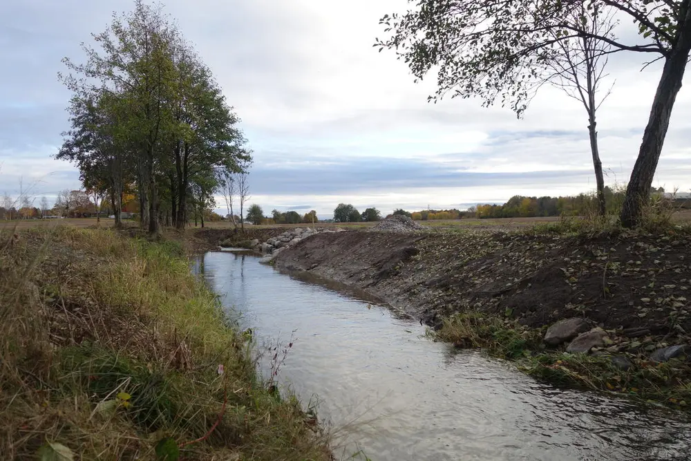 Sjøørretbekker i Sandefjord. Foto: Dag I. Børresen.