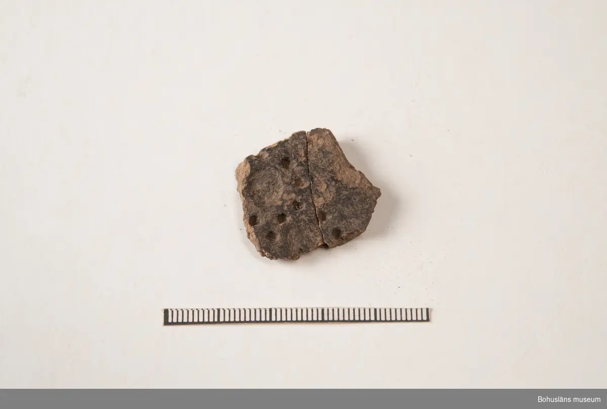 Kärl, fragment av svartglättat gods med punktdekor. Två bitar med passning sammanfogade.

294 Landskap BOHUSLÄN