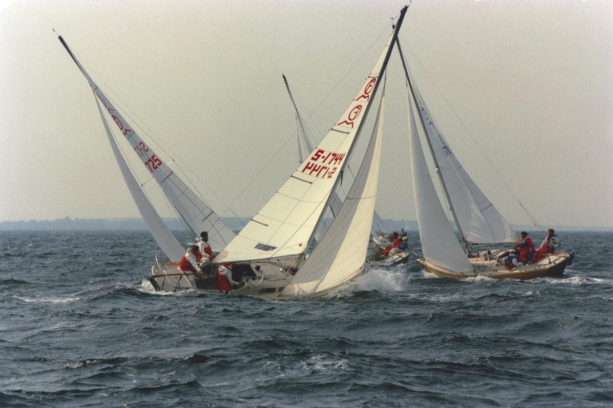 Kappsegling. Svenska Mästerskapet i IF-båt, Limhamn 1993.