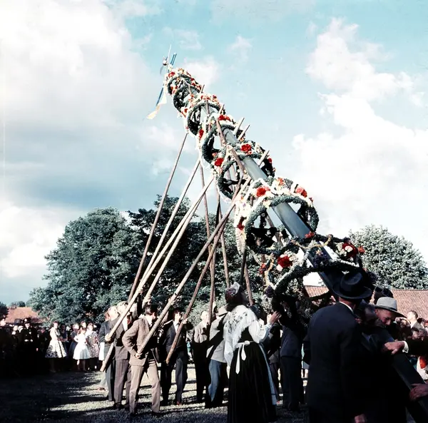 Resning Av Midsommarstång Vid Midsommarfirande I Brevens Bruk, 1960-tal ...