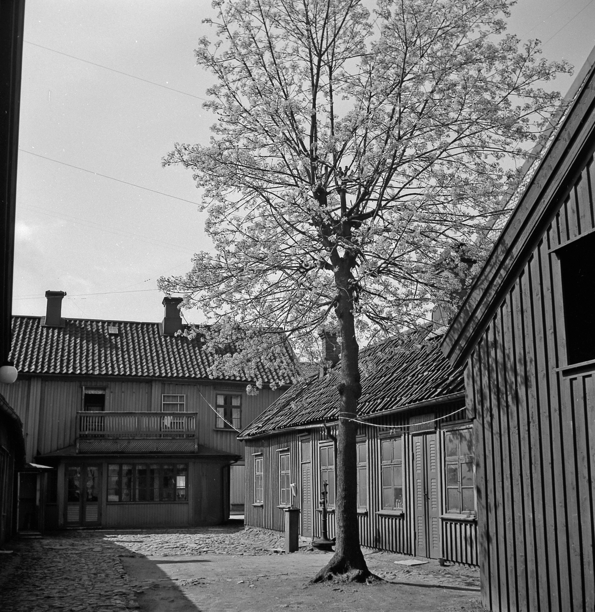 Gården i kv Hjorten 8, Norra Strömgatan. Den så kallade Kopparslagaregården. Uthus och vattenpump samt ett träd i vårblom syns.