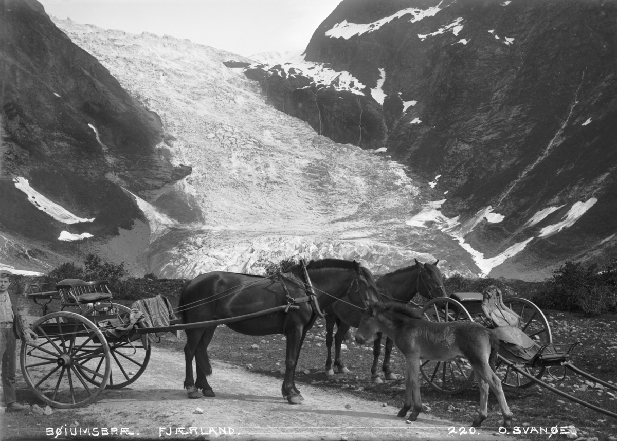 Bøyumsbreen, Hest m.vogn
Fotografert 1900 Ca.